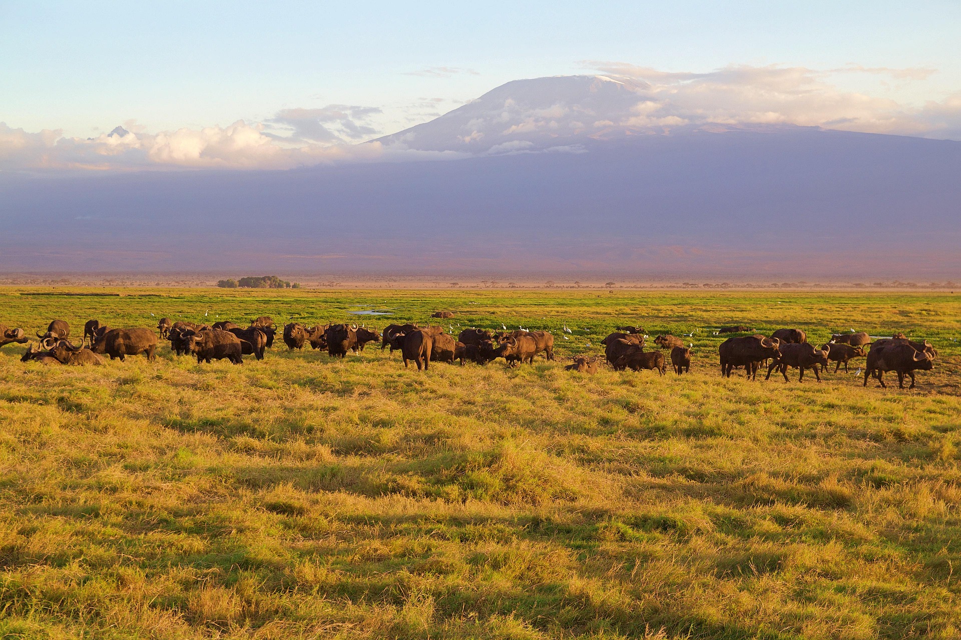 3 Days Tsavo West and Amboseli Safari