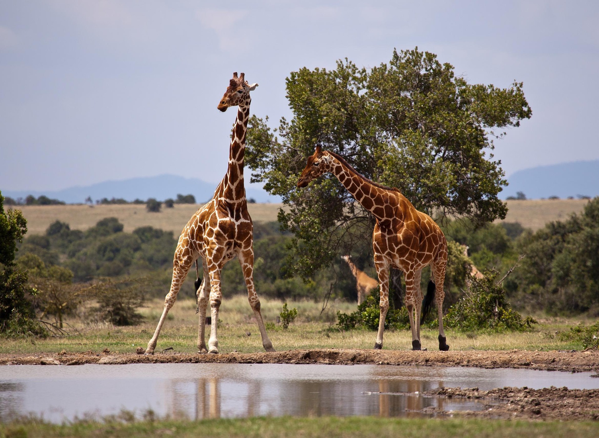 3 Days Masai Mara Road Adventure Safari