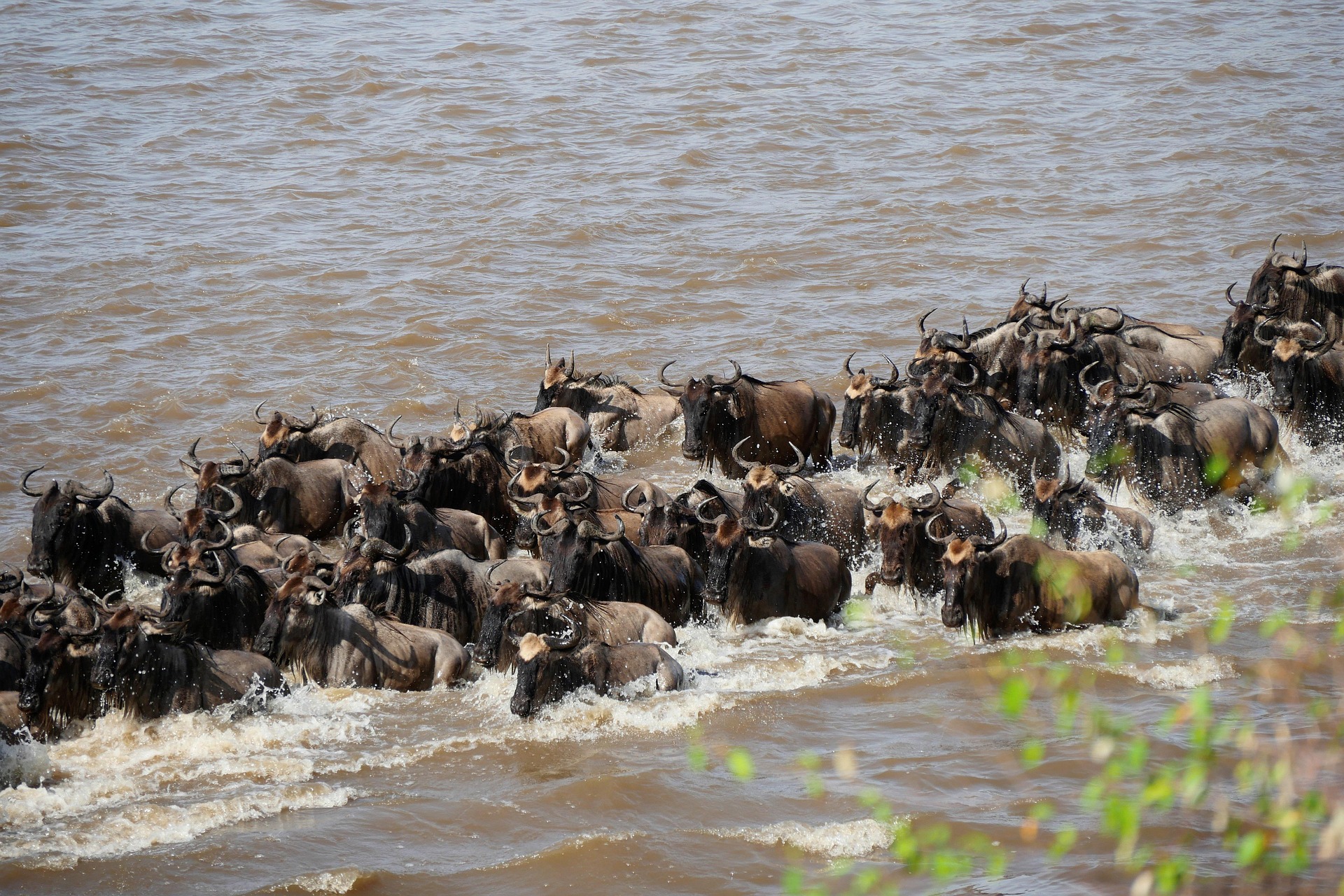 3 Days Masai Mara Road Adventure Safari
